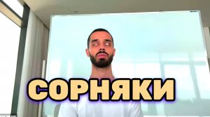 СОРНЯКИ в Сознании людей.. Какие Семена посеяли, то и выросло. Анар Дримс