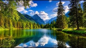 Black Death - Жизнь прекрасна и чудесна