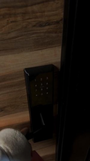 Апартаменты в Московском районе