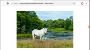 учим жывотный 🐱😺