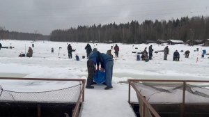 Запуск форели