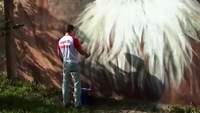 Граффити на Окском съезде