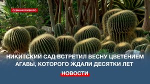 В Никитском ботаническом саду природа только просыпается, а в кактусовой оранжерее случилось чудо
