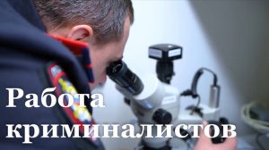 За прошедший год более 150 преступников опознали криминалисты МВД ЛНР