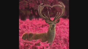 Знакомство с творчеством  Max Ellis