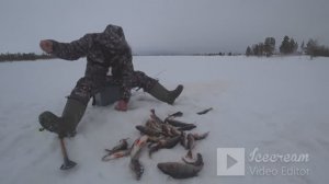 пришел на рыбалку а там такие поросята клюют)остался доволен