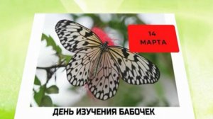 ДЕНЬ ИЗУЧЕНИЯ БАБОЧЕК - 14 МАРТА
