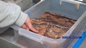 Естественнэй наукаҕа анаммыт симпозиум