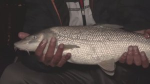 Jedna prava EP230_27022024