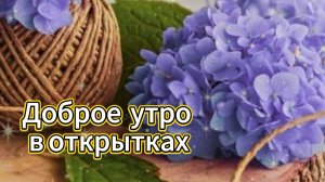 Доброе утро в открытках! ✨ Тёплые пожелания и позитив на весь день!
