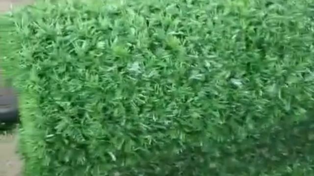 эко1 смотреть онлайн
