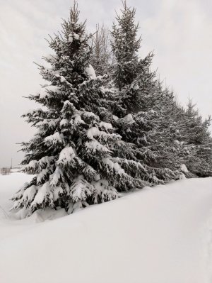 давайте знакомиться 💞