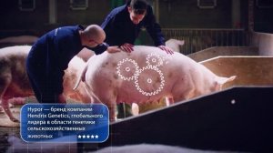 Знаменский СГЦ  - 20 лет!