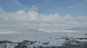 Школьное, НИП-10 ( 18.01.2026 )