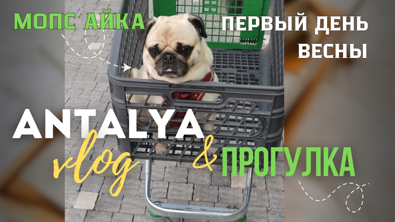 С первым днём весны 🌸 Ничего не загадываем ☺ ТУРЦИЯ Анталья