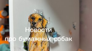 Новости о бумажных собак.