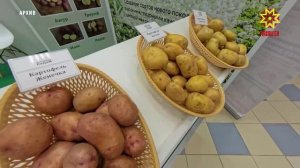 Шупашкарта «Çĕр улми-2026»  курава  Раççейри 18 регионти 80-а яхăн пĕрлешӳ хутшăнассине пĕлтернĕ