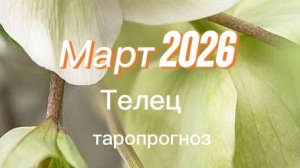 Телец  Март 2026г