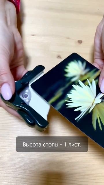 Устройство и принцип работы обрезчика Warrior MINI S.