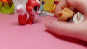 Sylvanian families 43 серия-"Бастер и лисица или жуткий поход к ветеринару"