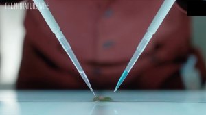 Минюатюрная жена | официальный трейлер 2026