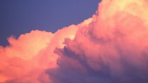 ОГОРОДНИК. Муз. А. Белых.  сл. Я. Вжехва.  исп. АНТОН БЕЛЫХ и хор Урдомской  школы  искусств.1997 г