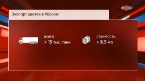 Телеканал «Россия 24», программа «Вести. Дежурная часть», 27.02.2026