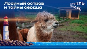 Лосиный остров и тайны сердца | Смотритель маяка с Романом Маякиным