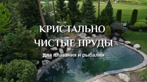 ПРУДЫ с КРИСТАЛЬНО ЧИСТОЙ ВОДОЙ для купания и рыбалки. Идеальный пруд у дома