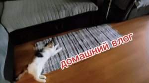 Любашины будни,болтака от души ✅Надеюсь всё будет хорошо ‼️