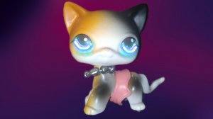 Официальный канал?!