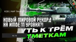 18000 УРОНА - МИРОВОЙ РЕКОРД ПОСТАВИЛ КИБЕРСПОРТСМЕН ИЗ ЕВРОПЫ НА ИМБЕ 11 УРОВНЯ - BZ-79!