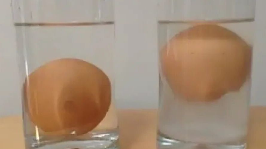 опыт проверка электрической ПЛОТНОСТИ электровеществ.