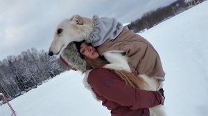 Волонтеры во всей страны едут в зону спецоперации и приграничье ради оставшихся без хозяев животных.