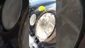 Силикон поможет сделать фары новыми!