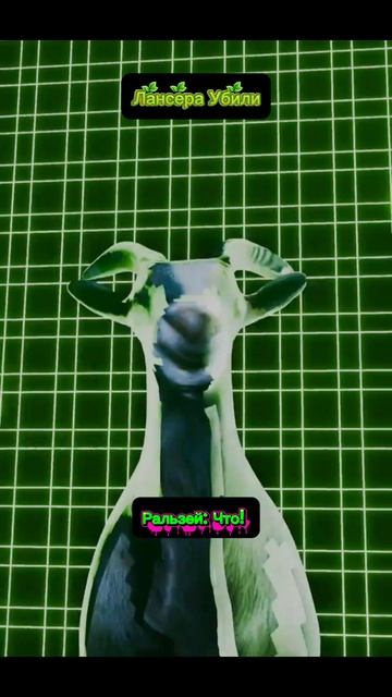 Лансера Убили