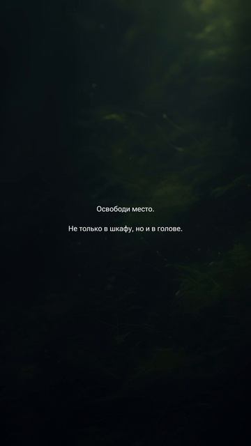 тгк: @emerald_academia