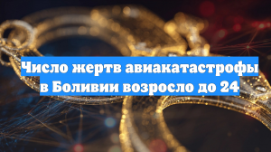 Число жертв авиакатастрофы в Боливии возросло до 24