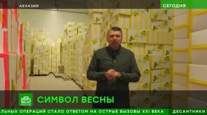 Телеканал «НТВ», программа «Сегодня», 27.02.2026