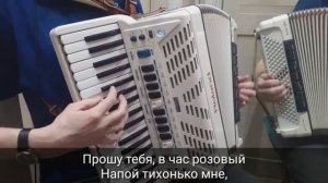 Верасы Малиновка на Аккордеоне - Аккордеонист Баянист (360p)