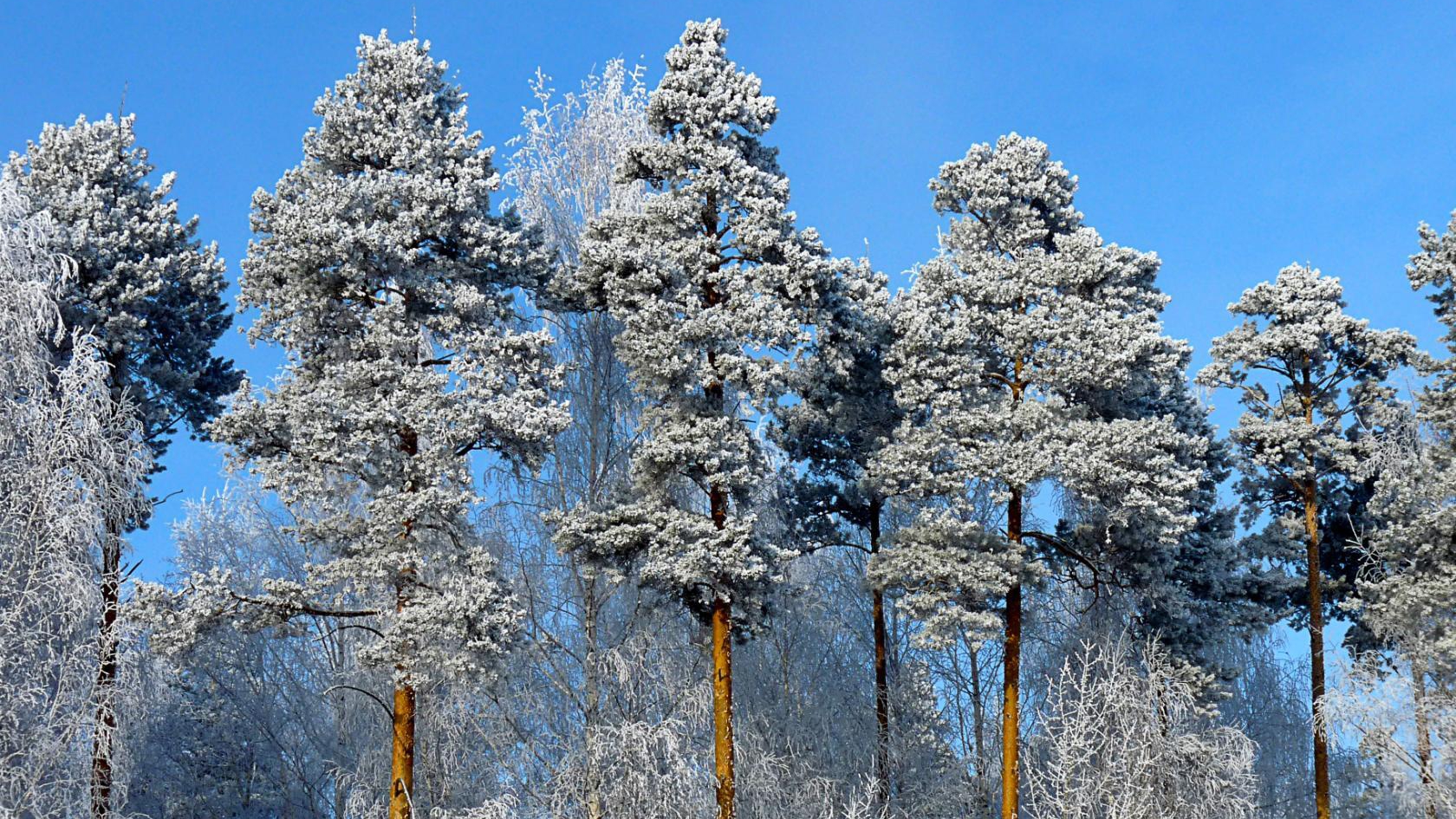 Это важно на сегодня!🙋♀️🍀🌹