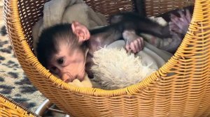 23 февраля 2026 г.