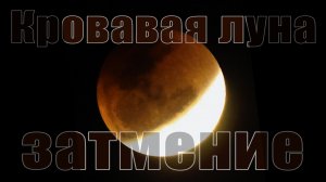 Полное затмение "Кровавой луны". 03.03.2026