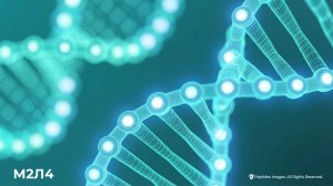 Серия Youth Gems