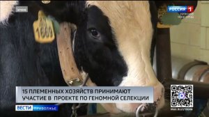 Девять нижегородских племенных хозяйств присоединились к федеральному проекту по геномной селекции