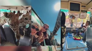 Квай сафари + Каньон летающего дракона | Экскурсия из Паттайи