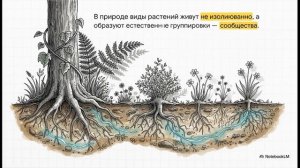 Биология 7 класс параграф 17 РАСТИТЕЛЬНЫЕ СООБЩЕСТВА краткий пересказ