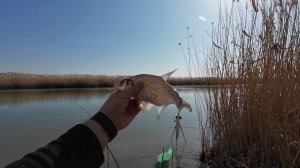 Рыбалка на фидер ранней весной!!!