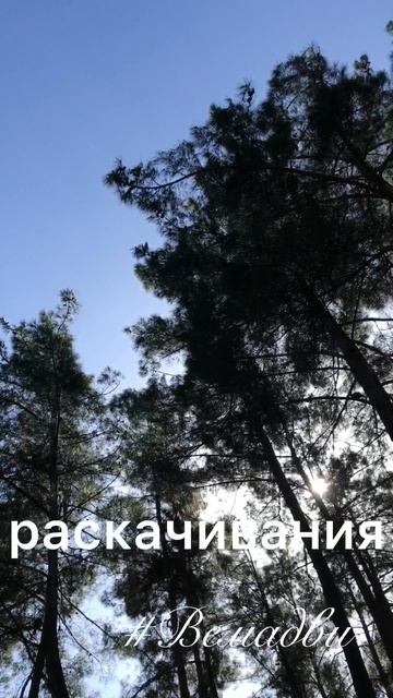 Качаетесь на качелях? Как часто?  Если я прохожу мимо пустых, …