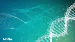 Развитие процессов гликации